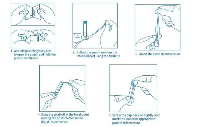 Ce Steril Disposable Medical Sample Specimen DNA Test Vaginal Transport Collection Tube Flocked Cotton Swab Wooden Stick Without Medium
