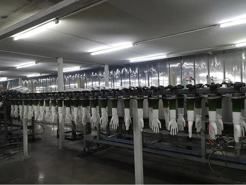 Disposable Gloves Powder Free PVC Vinyl Gloves Examination Gloves