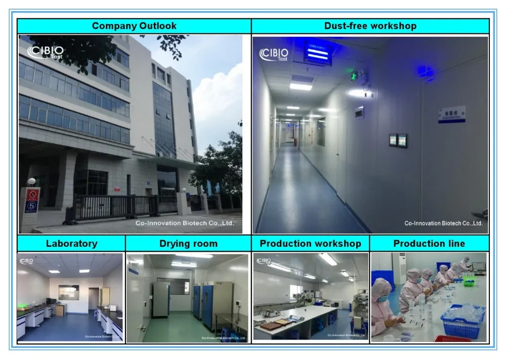 Ethyl Glucuronide Test One Step Etg Rapid Test Card