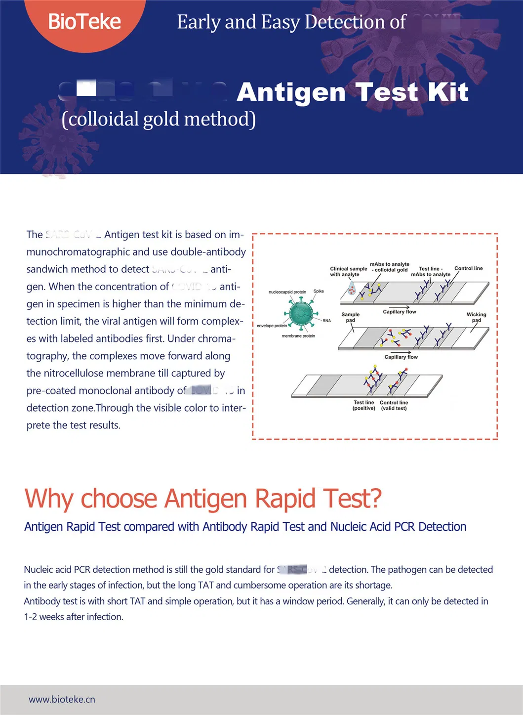 High Accuracy Individual Rapid Test Kit with Pharyngeal Swab