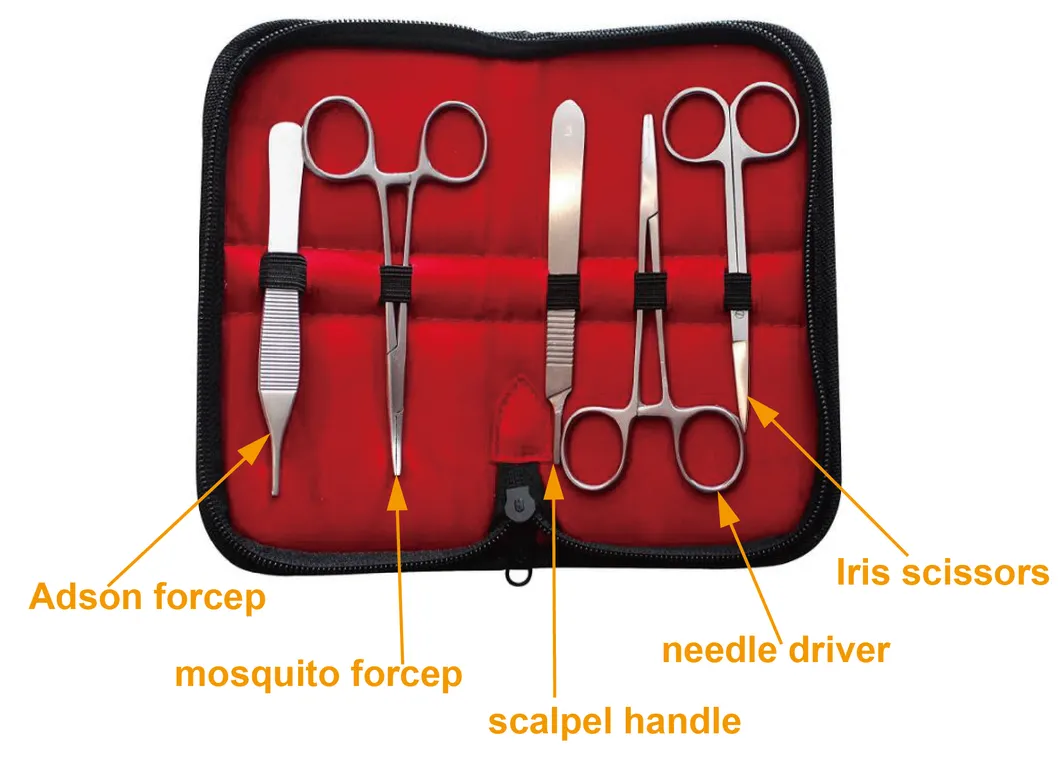 Medical Student Training Suture Pad with Surgical Tool Suture Practice Kit