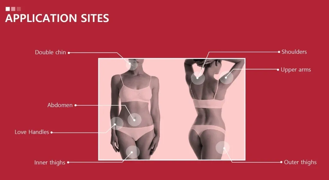 Popular South Korea Effective Weight Loss Products Manufacturer Wholesale Direct Sale High Quality Lipolytic Ppc Kabelline for Injection